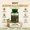 Nirogfit Ashwagandha Capsules (500 mg | 5% Withanolides)