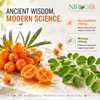 Sea Buckthorn & Moringa Effervescent Tablets (15 Tab)