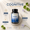 MANASFIT: The Natural Cognitive Rejuvenator