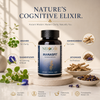 MANASFIT: The Natural Cognitive Rejuvenator